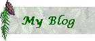 My Blog