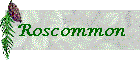 Roscommon