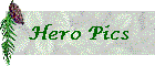 Hero Pics